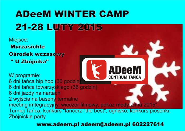 ADeeM_Winter_Camp_2015